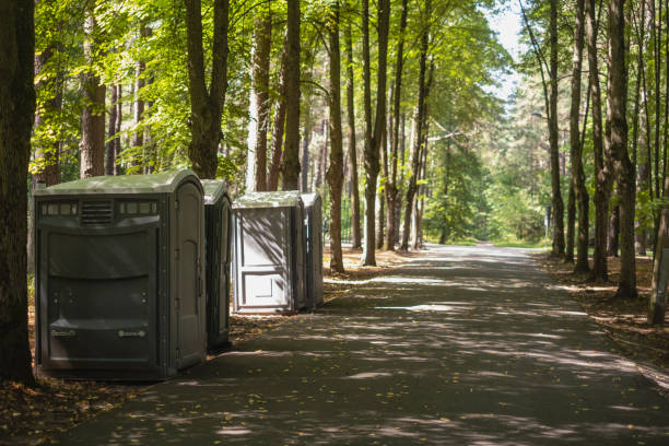 Best Sanitation services for porta potties  in Palatine, IL